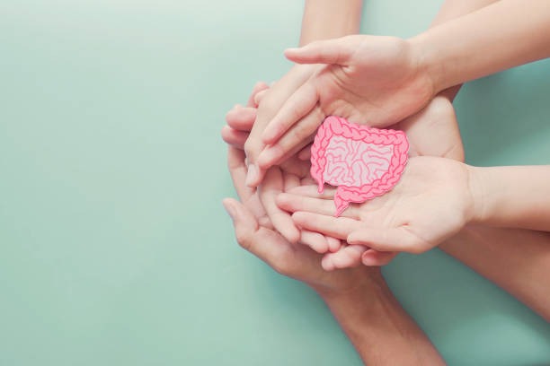 The Role of Hydration in Weight Management