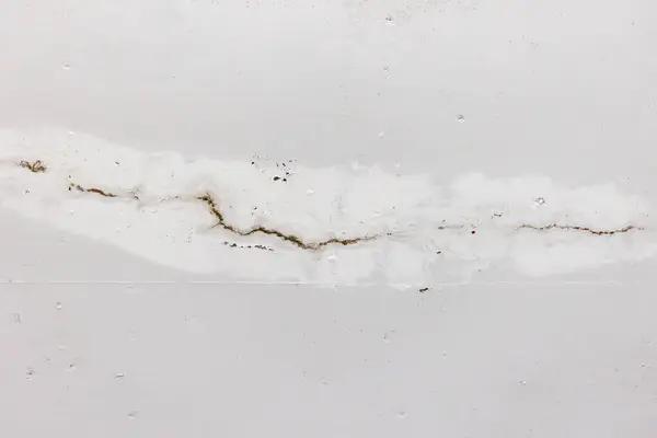 Preventing Future Damage: Smart Roof Leak Repair Solutions