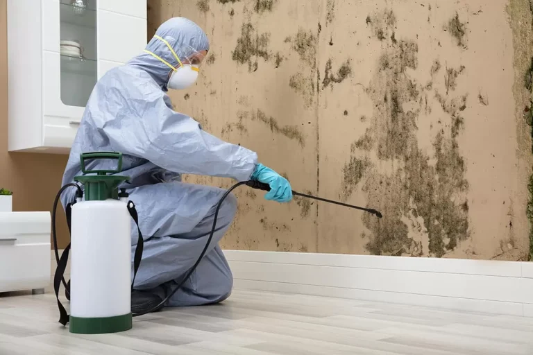 Advanced Mold Remediation Techniques Restore Indoor Environments To Healthy Conditions