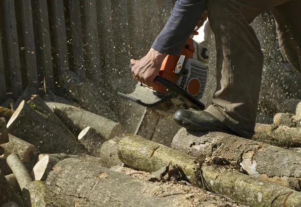 Local Tree Removal Service with Free Estimates