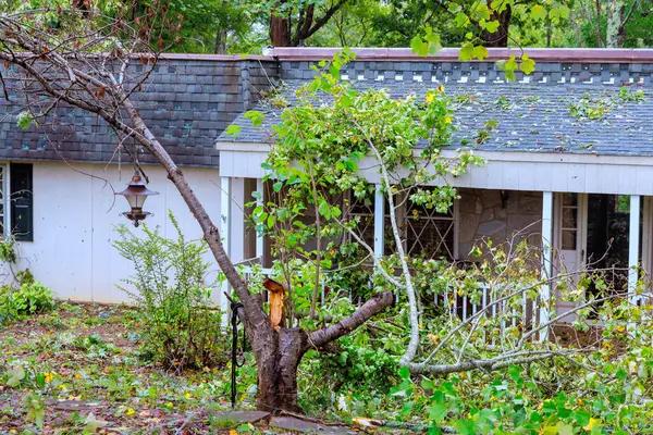 Cost and Process Explained for tree on roof removal Services