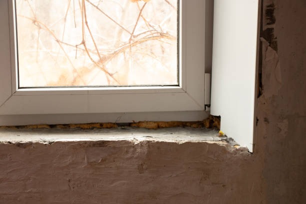 Attic Mold Removal in Fremont Protect Your Home from Harmful Mold