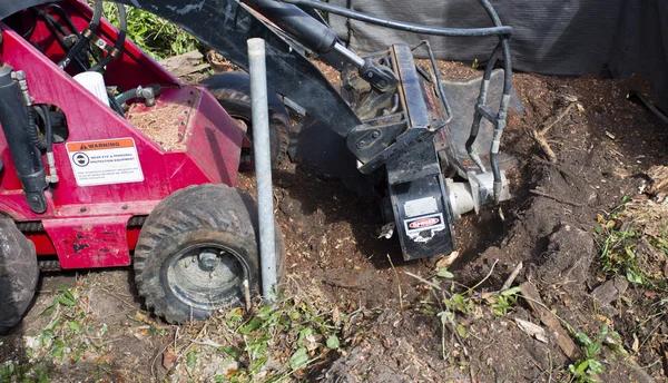 Smart Homeowners Choose Stump Grinding Before Fence Installation
