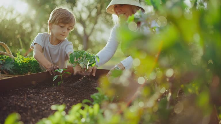 Cultivating Your Mind: How Does Your Garden Grow?