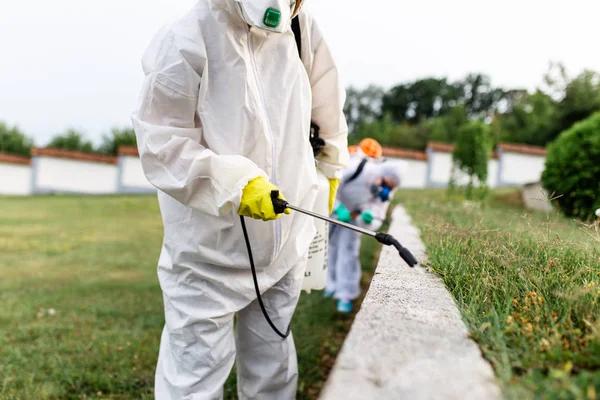 Professional Lawn Care Services for a Green, Healthy, and Beautiful Lawn