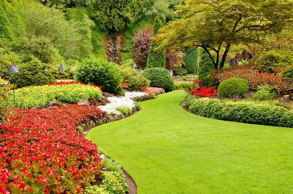 Transforming Outdoor Spaces with Painted Rocks